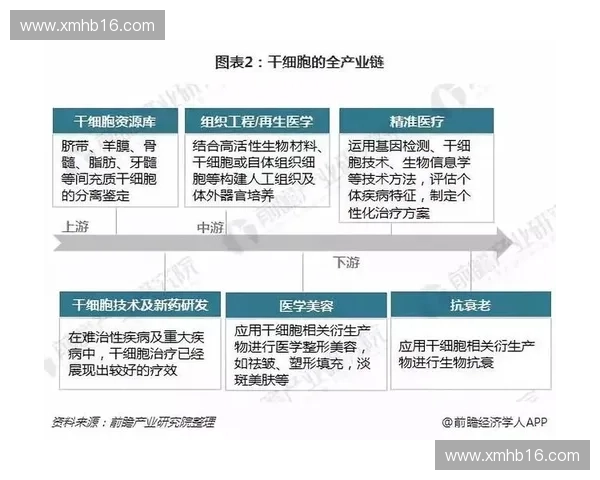 赛事内容版权保护与商业化开发的现状及未来发展趋势分析