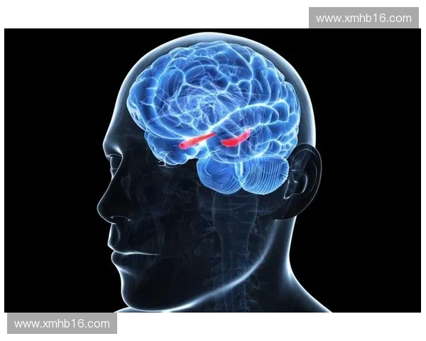 以神经招募机制为核心的脑功能重塑与智能调控新范式研究